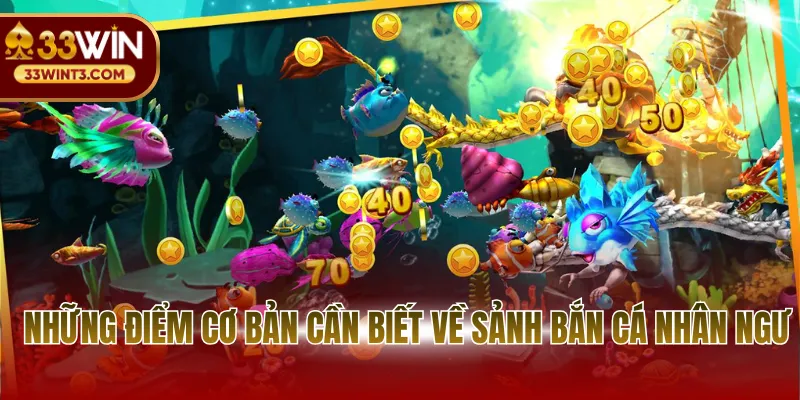 Bắn Cá Nhân Ngư - Khám Phá Cung Điện Đại Dương Huyền Ảo 2 Những điểm cơ bản cần biết về sảnh bắn cá nhân ngư